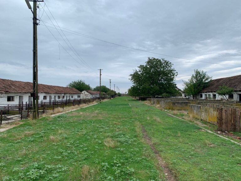 farm-for-sale-romania-ndlk-casa-glia (9)