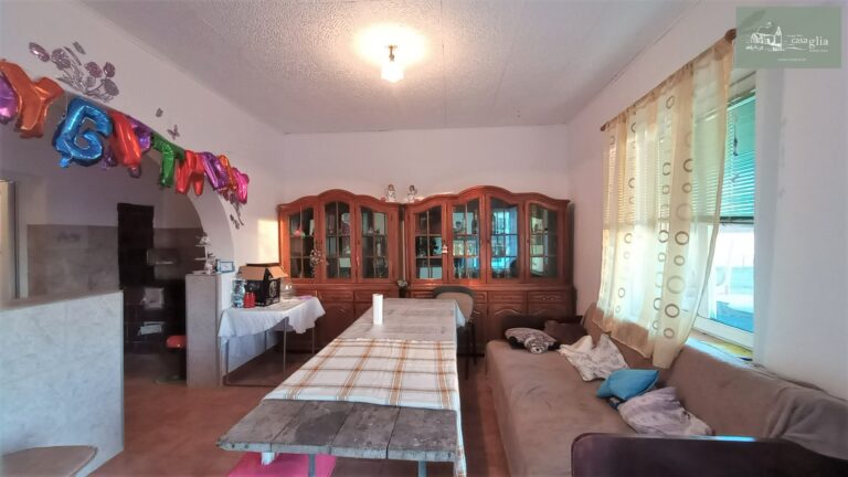 slaughterhouse-abatoir-horia (11)