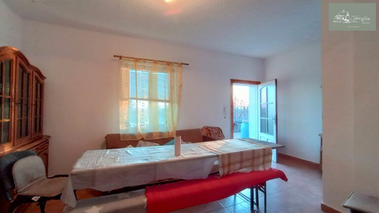 slaughterhouse-abatoir-horia (16)