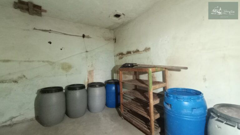 slaughterhouse-abatoir-horia (17)