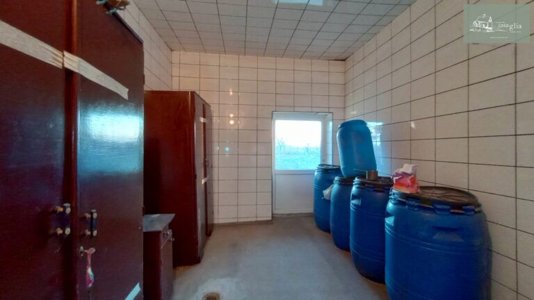 slaughterhouse-abatoir-horia (18)