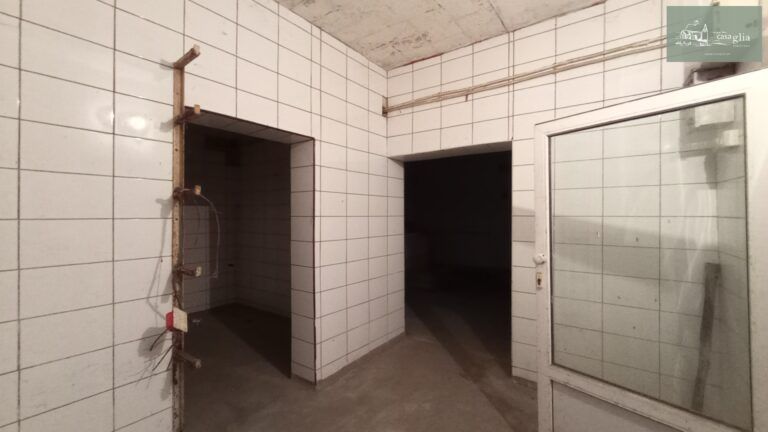 slaughterhouse-abatoir-horia (19)