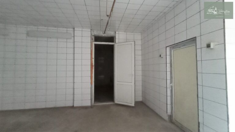 slaughterhouse-abatoir-horia (23)