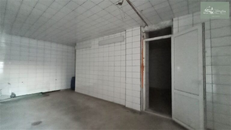 slaughterhouse-abatoir-horia (24)