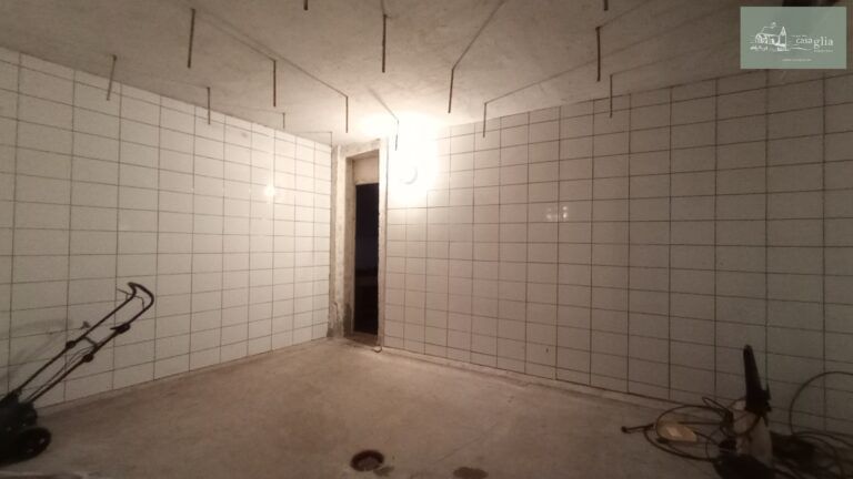 slaughterhouse-abatoir-horia (25)