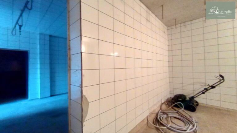 slaughterhouse-abatoir-horia (26)