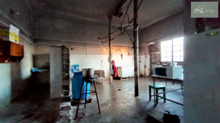 slaughterhouse-abatoir-horia (27)