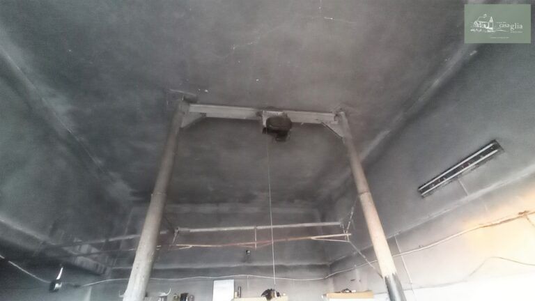 slaughterhouse-abatoir-horia (32)