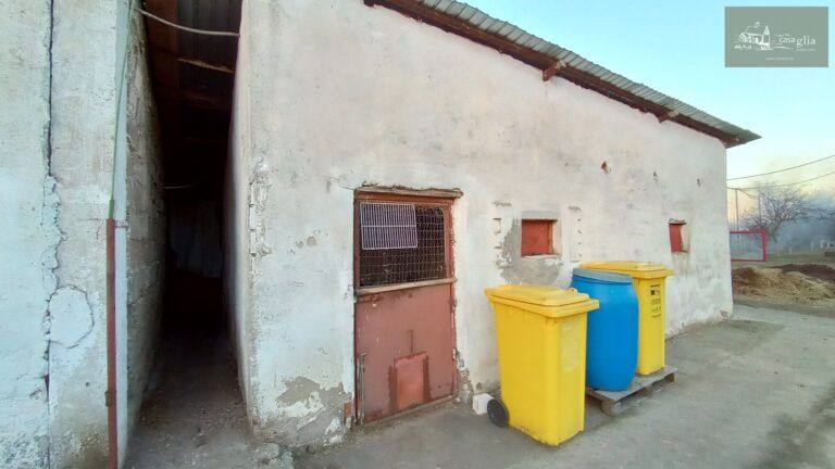 slaughterhouse-abatoir-horia (33)