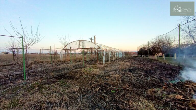 slaughterhouse-abatoir-horia (37)