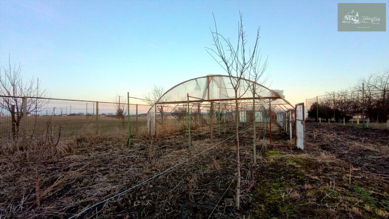 slaughterhouse-abatoir-horia (39)