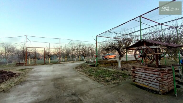 slaughterhouse-abatoir-horia (45)