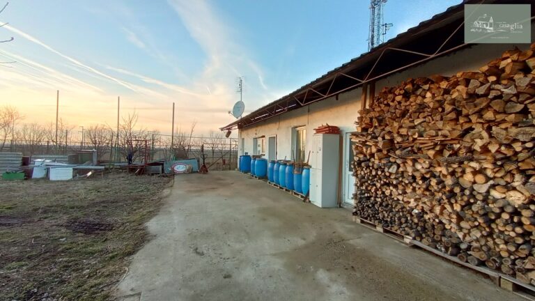 slaughterhouse-abatoir-horia (48)