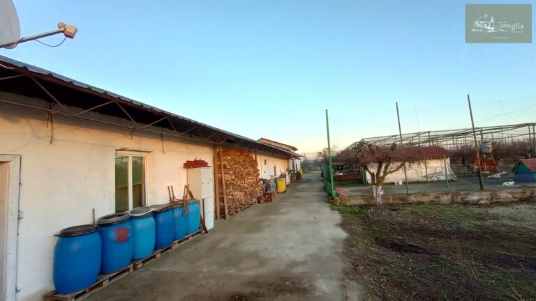 slaughterhouse-abatoir-horia (50)