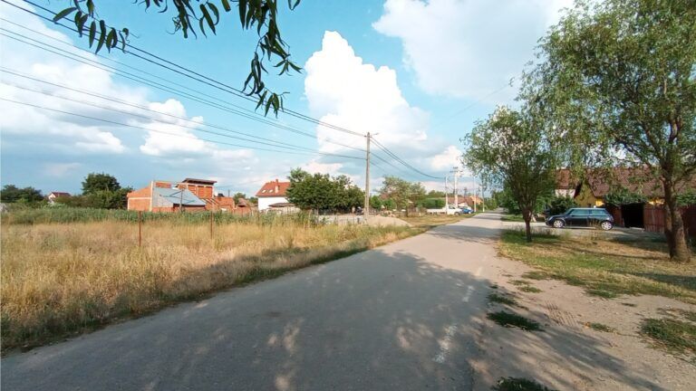 teren-zimandcuz-arad-alfi (4)