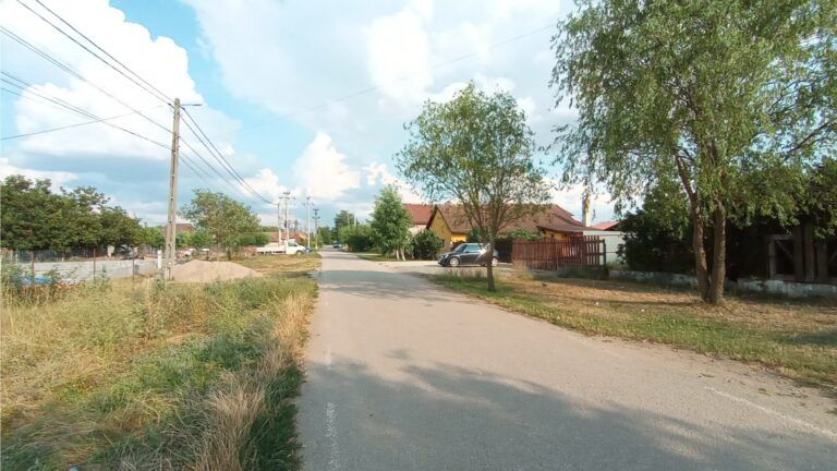 teren-zimandcuz-arad-alfi (5)