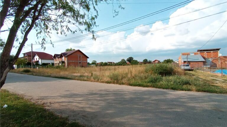 teren-zimandcuz-arad-alfi (7)