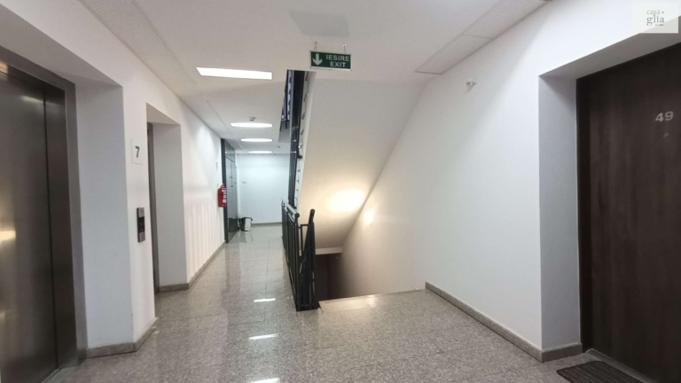 apt-timi-mire-165 (5)