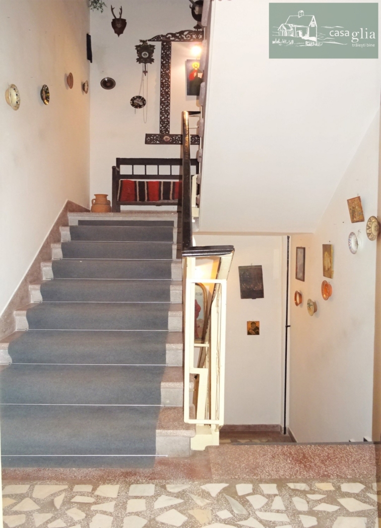 de_vanzare_vila_ultracentrala_centru_arad-casaglia.ro (12)