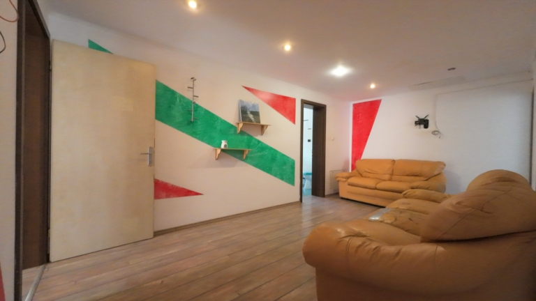casa-roza-dragani-arad (17)