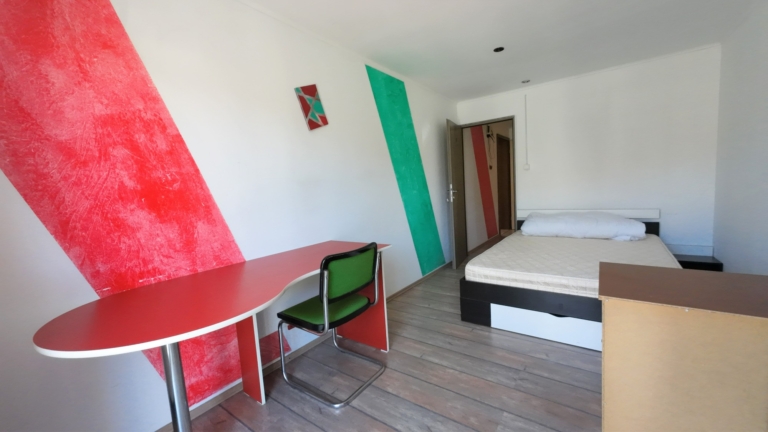 casa-roza-dragani-arad (19)