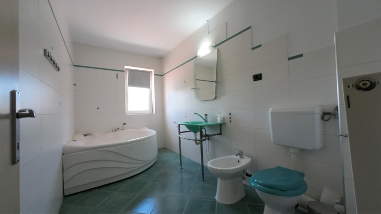 casa-roza-dragani-arad (21)