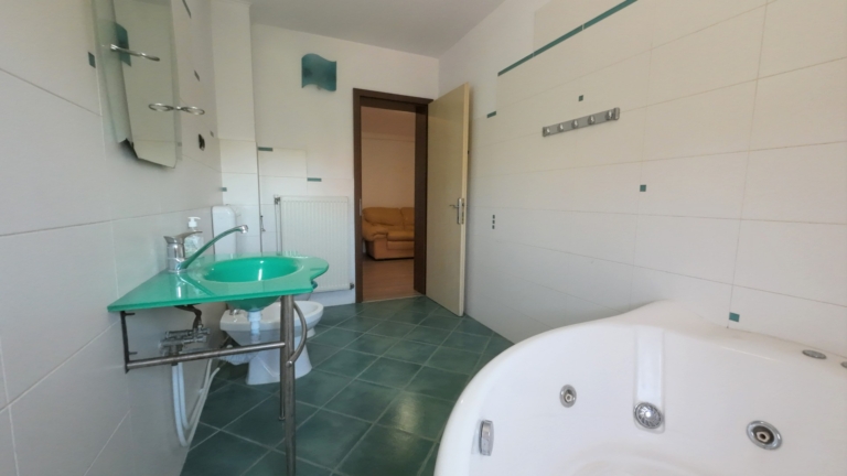 casa-roza-dragani-arad (22)