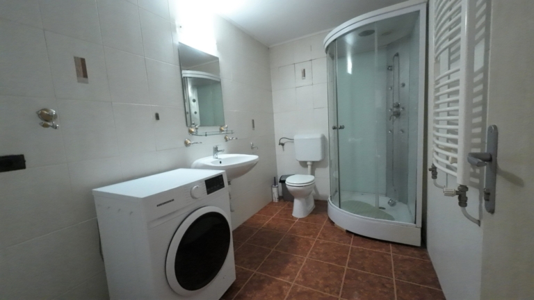 casa-roza-dragani-arad (33)