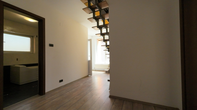 casa-roza-dragani-arad (4)
