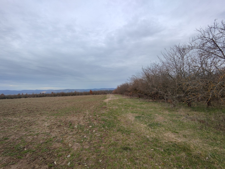 farm-lipov-casaglia (11)