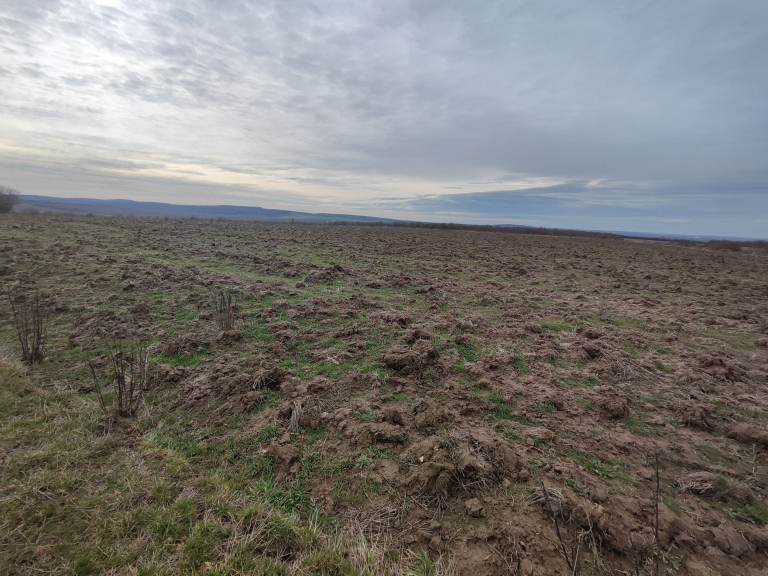 farm-lipov-casaglia (13)