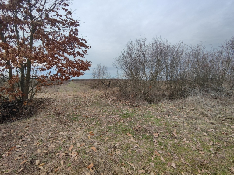 farm-lipov-casaglia (19)