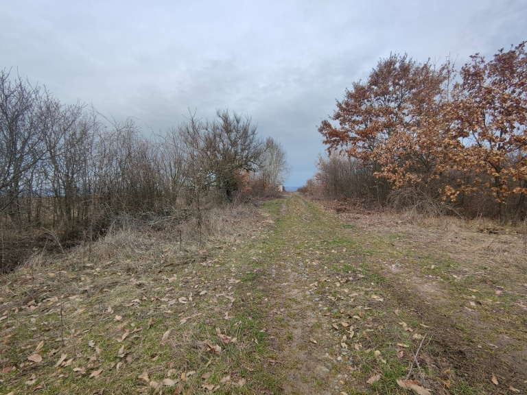 farm-lipov-casaglia (20)