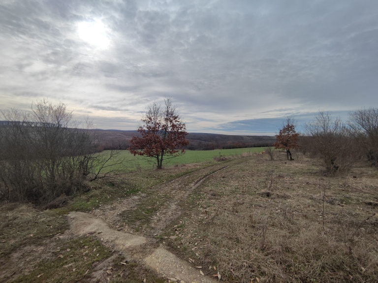 farm-lipov-casaglia (21)