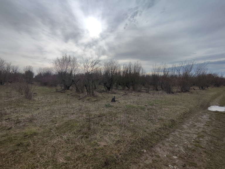 farm-lipov-casaglia (24)