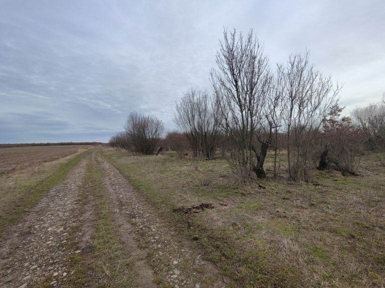 farm-lipov-casaglia (25)