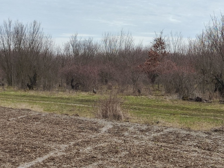 farm-lipov-casaglia (28)