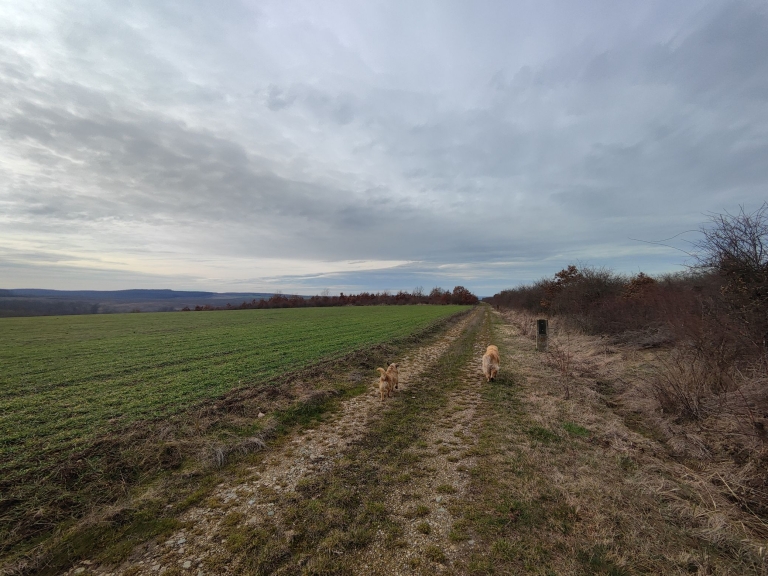 farm-lipov-casaglia (3)