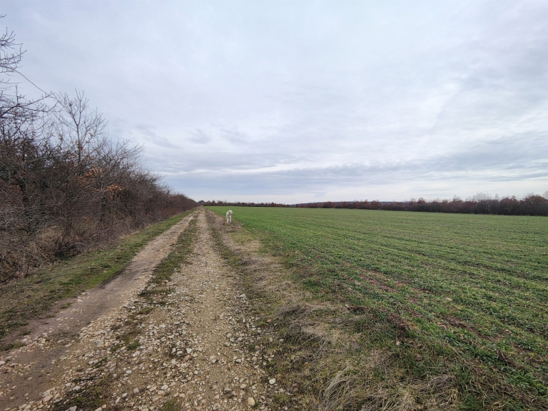 farm-lipov-casaglia (6)