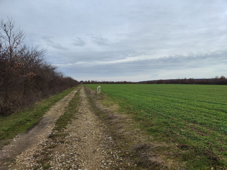 farm-lipov-casaglia (7)