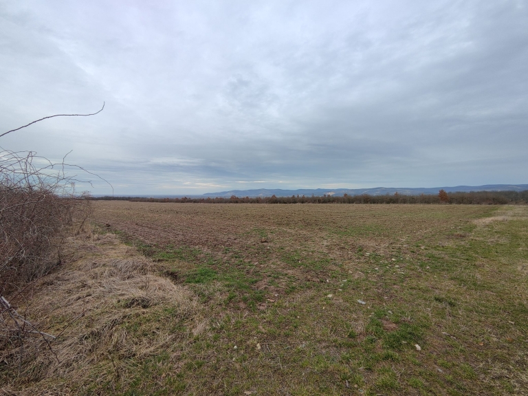 farm-lipov-casaglia (8)