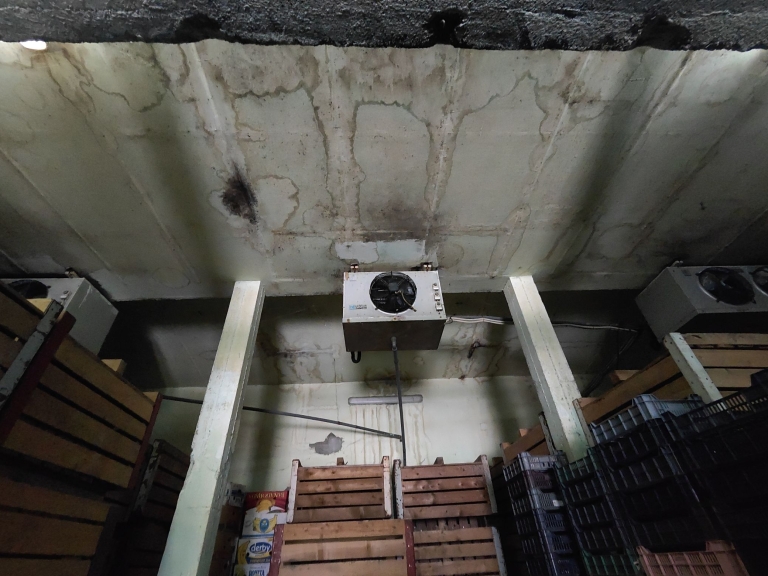 imobil-farm-lipov-casaglia (29)