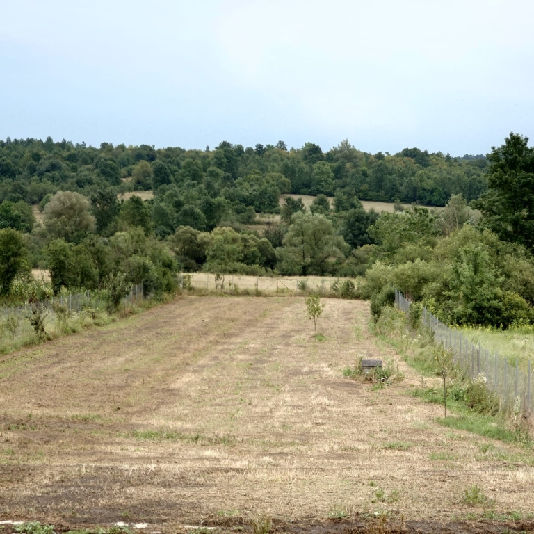 casa-vacanta (13)