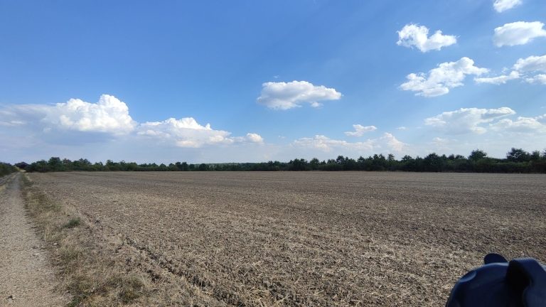 farm-orchard-livada-lpva108ha (22)