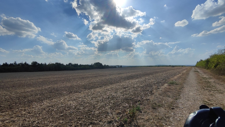 farm-orchard-livada-lpva108ha (23)