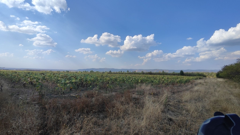 farm-orchard-livada-lpva108ha (24)
