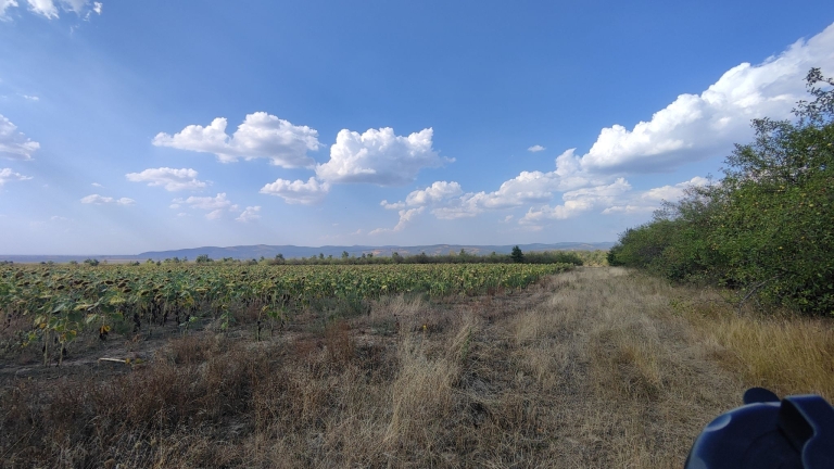 farm-orchard-livada-lpva108ha (25)