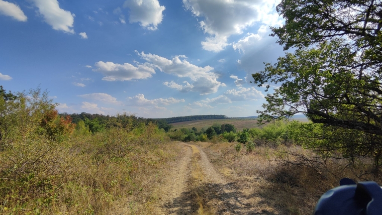 farm-orchard-livada-lpva108ha (29)