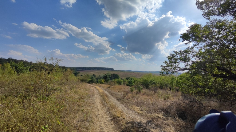 farm-orchard-livada-lpva108ha (31)