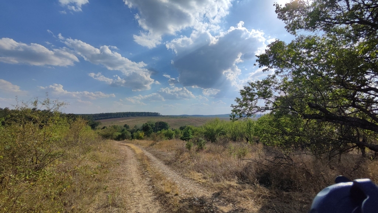 farm-orchard-livada-lpva108ha (32)